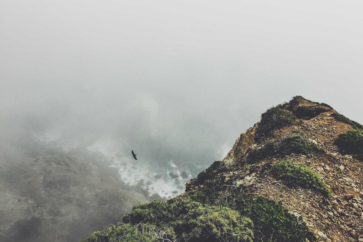 Common Pitfalls That Cause Bonus Forfeitures and How to Avoid Them