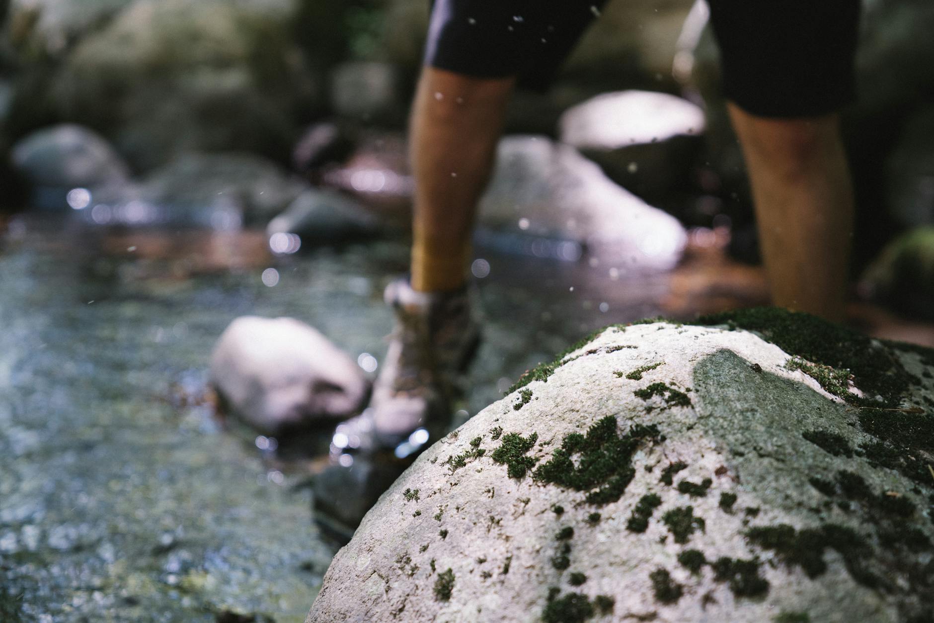 Earning Points on Streaming Through Premium Rewards Programs