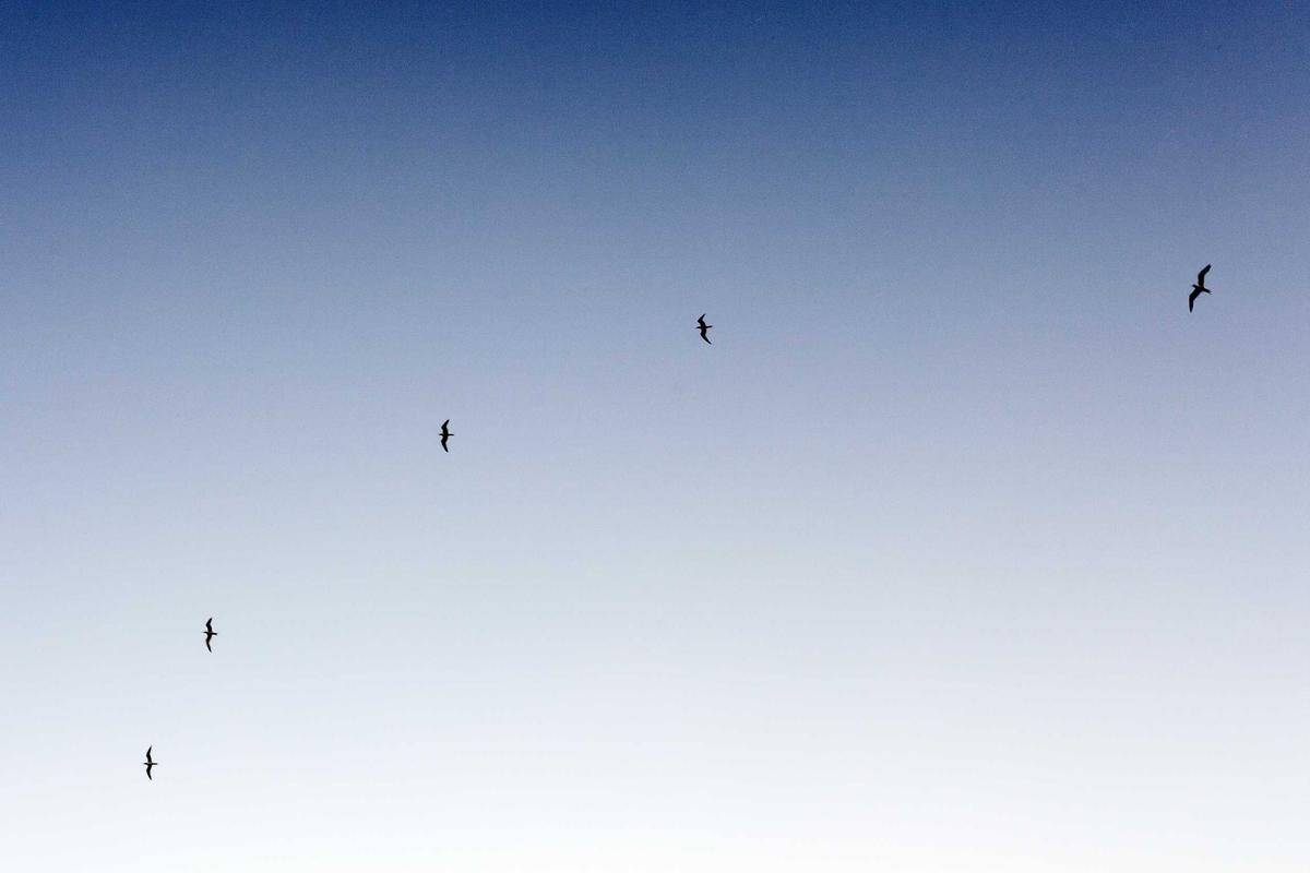 Enrollment Requirements and the Streaming Verification Problem