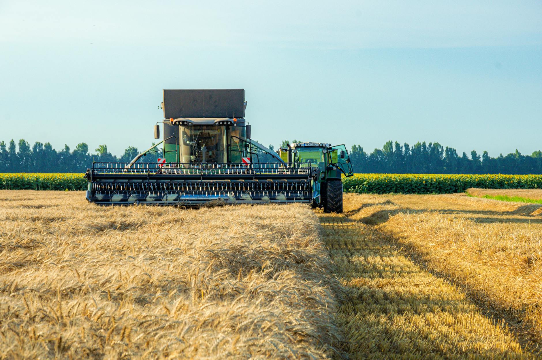 Real-World Examples of How the Combined Bonus Works in Practice