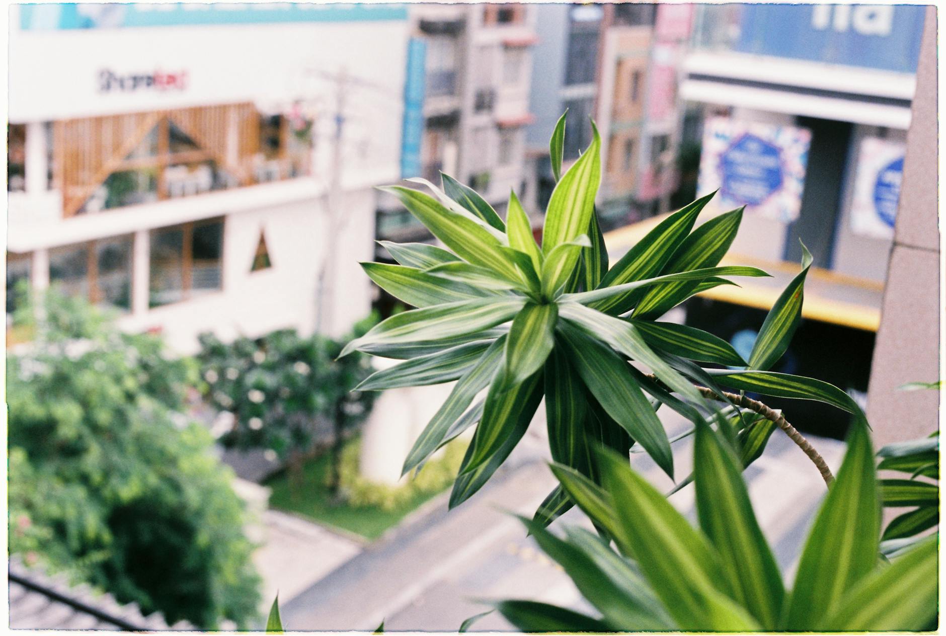 What Exactly Is the Citi Private Client $400 Annual Credit?