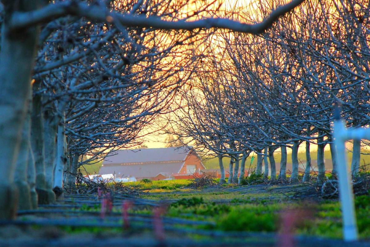 Comparing SoFi Invest Bonuses to Other Investment Platforms