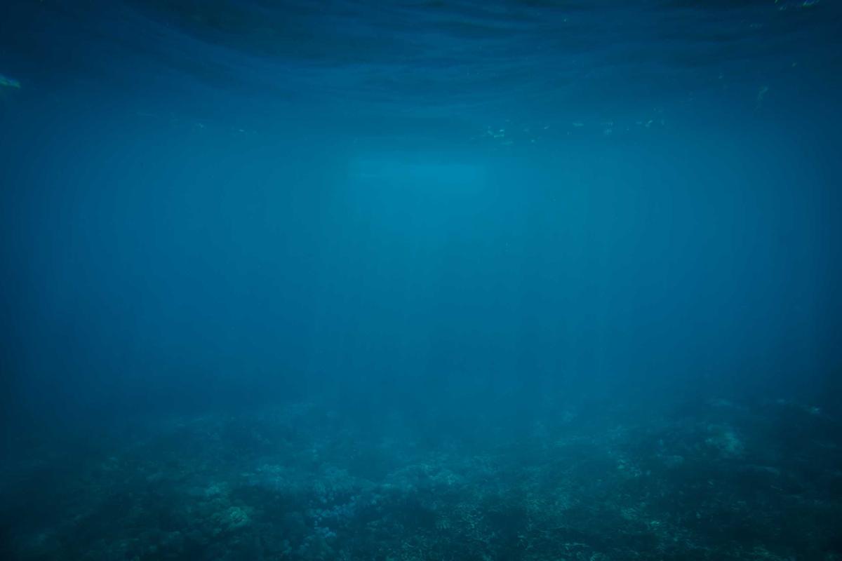 Comparing SoFi's Bonus Against Competitors