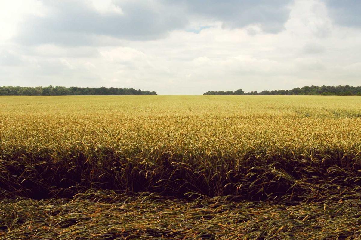 How Long Does It Actually Take to Receive Your $300 and What Should You Expect?