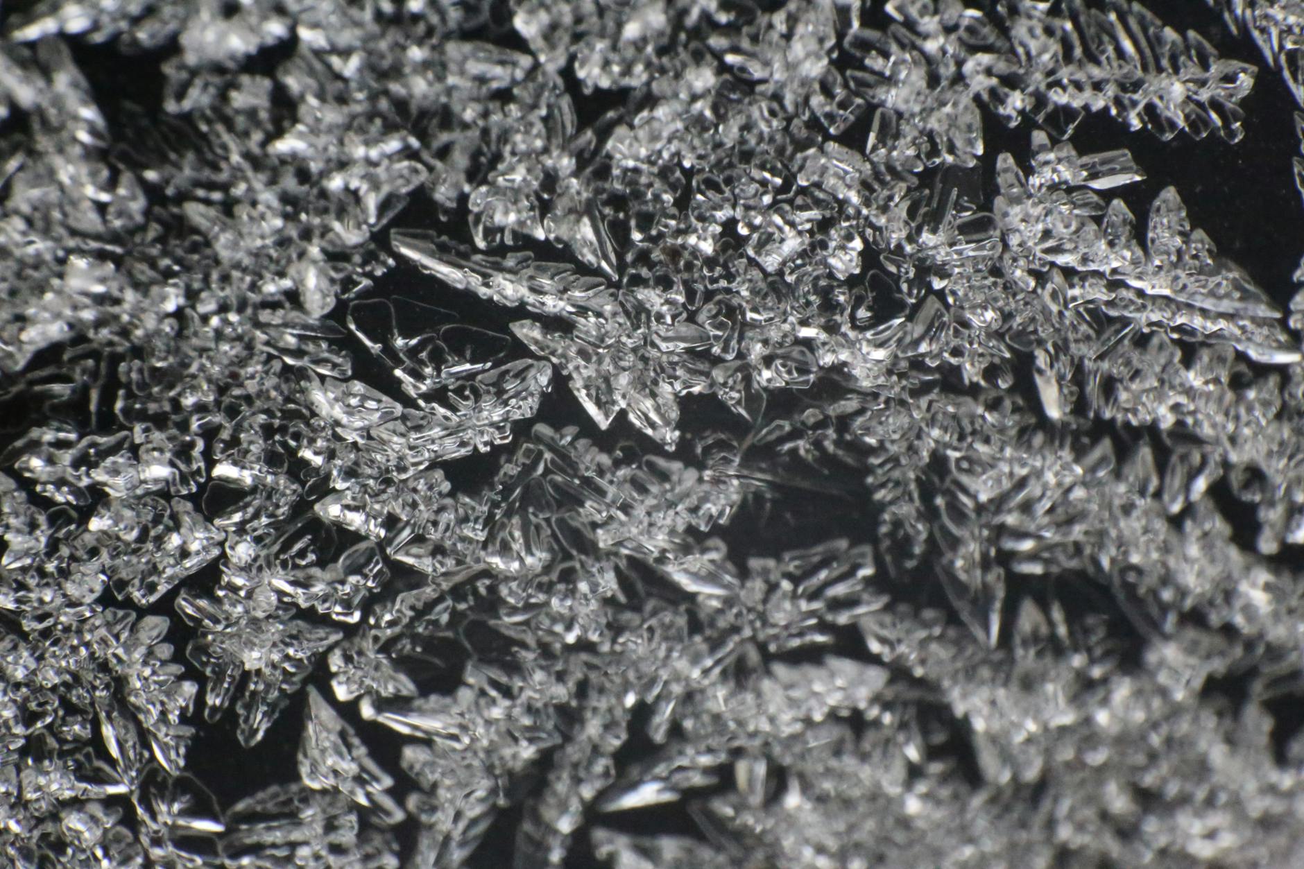 How Much Can You Actually Earn With the Capital One 360 Bonus Structure?