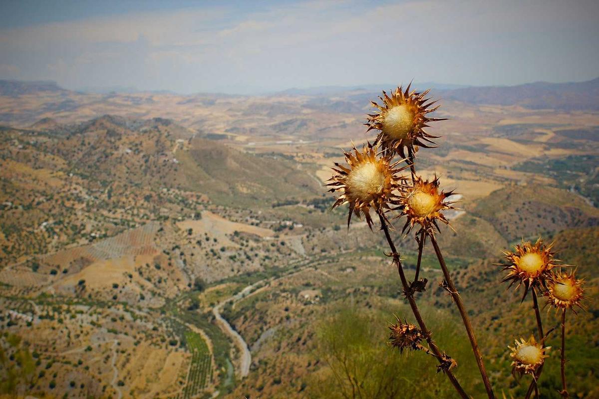 U.S. Bank Business Essentials Checking $400 Bonus - Featured image