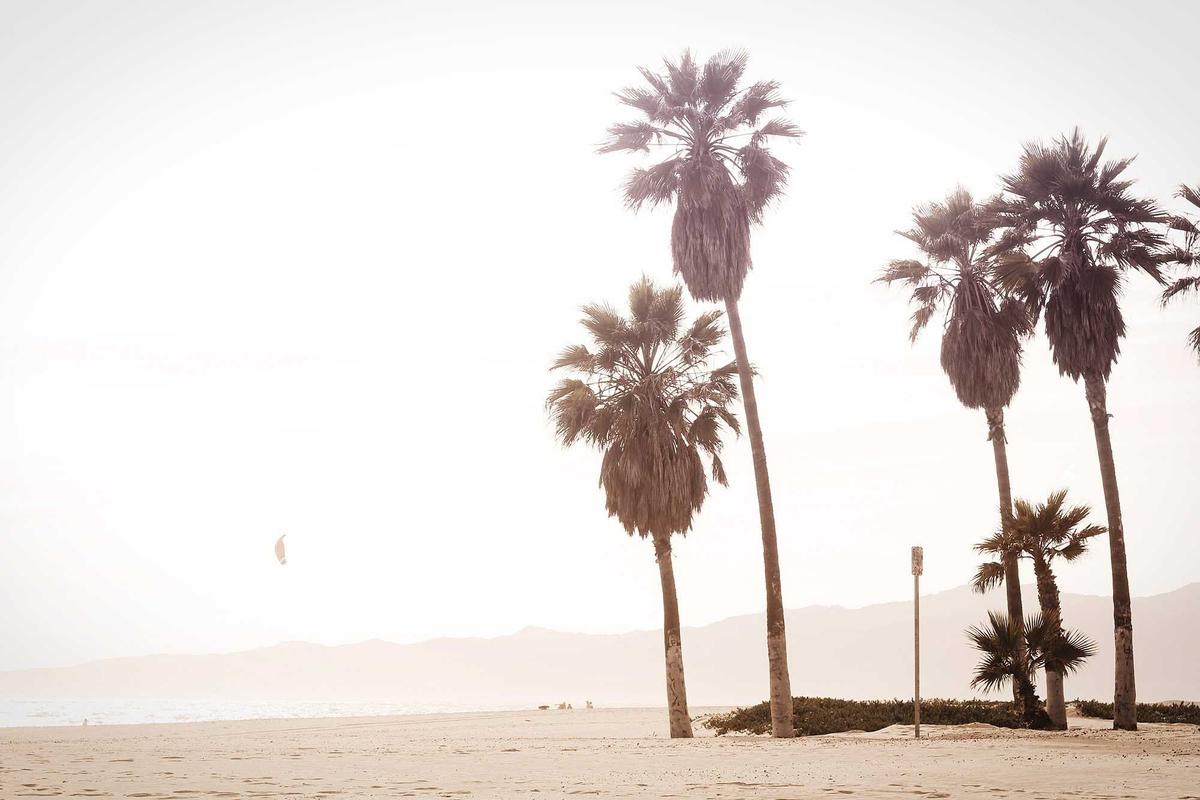 What Are the Specific Requirements for Wells Fargo Clear Access $125 Bonus?