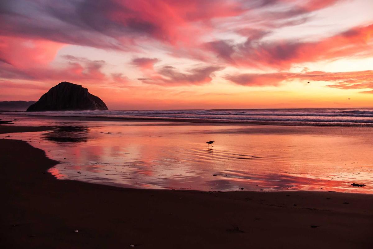 What Are the Specific Requirements to Claim the Wells Fargo $325 Bonus?