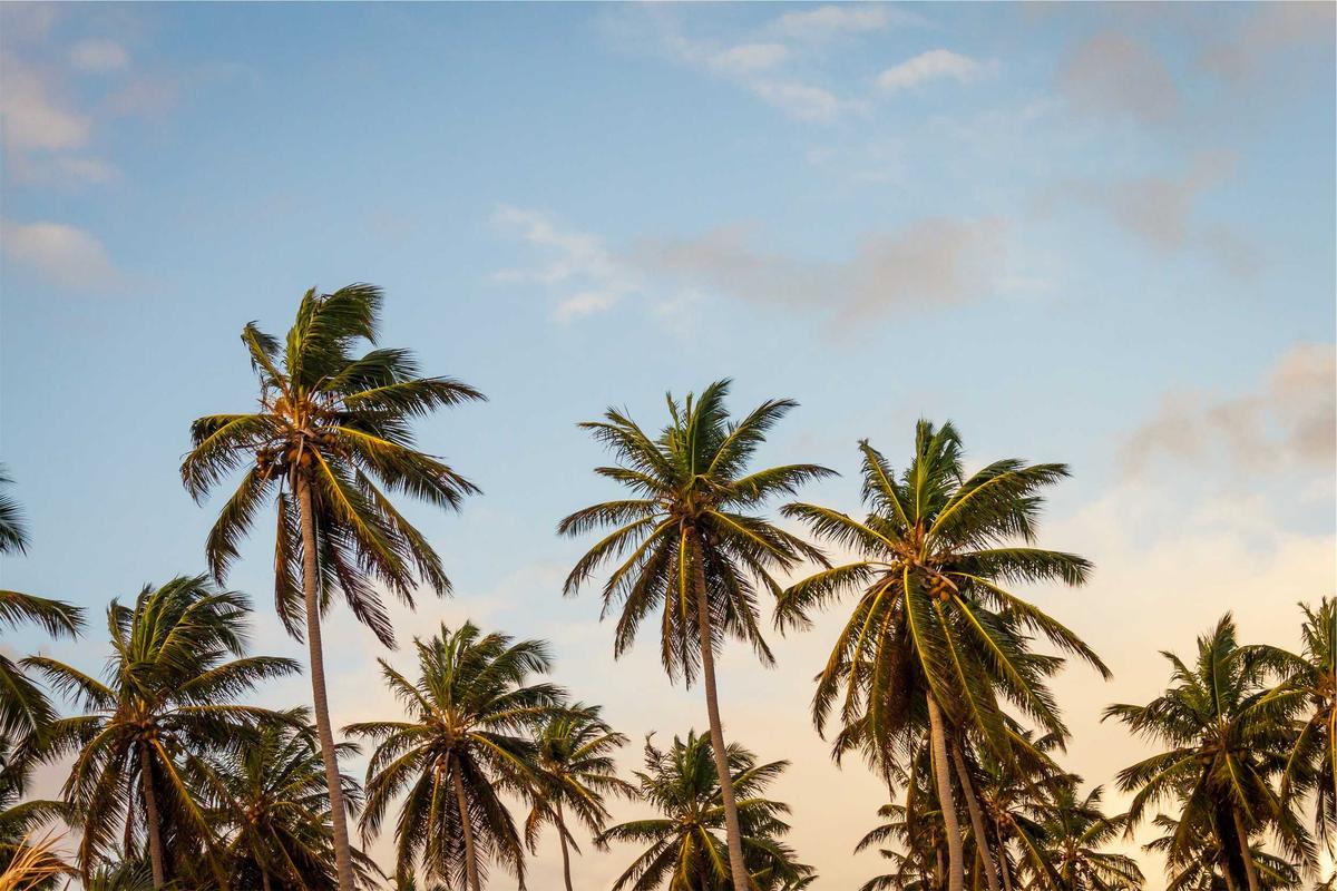 Account Tiers and Eligibility Requirements for Citi Private Client Benefits