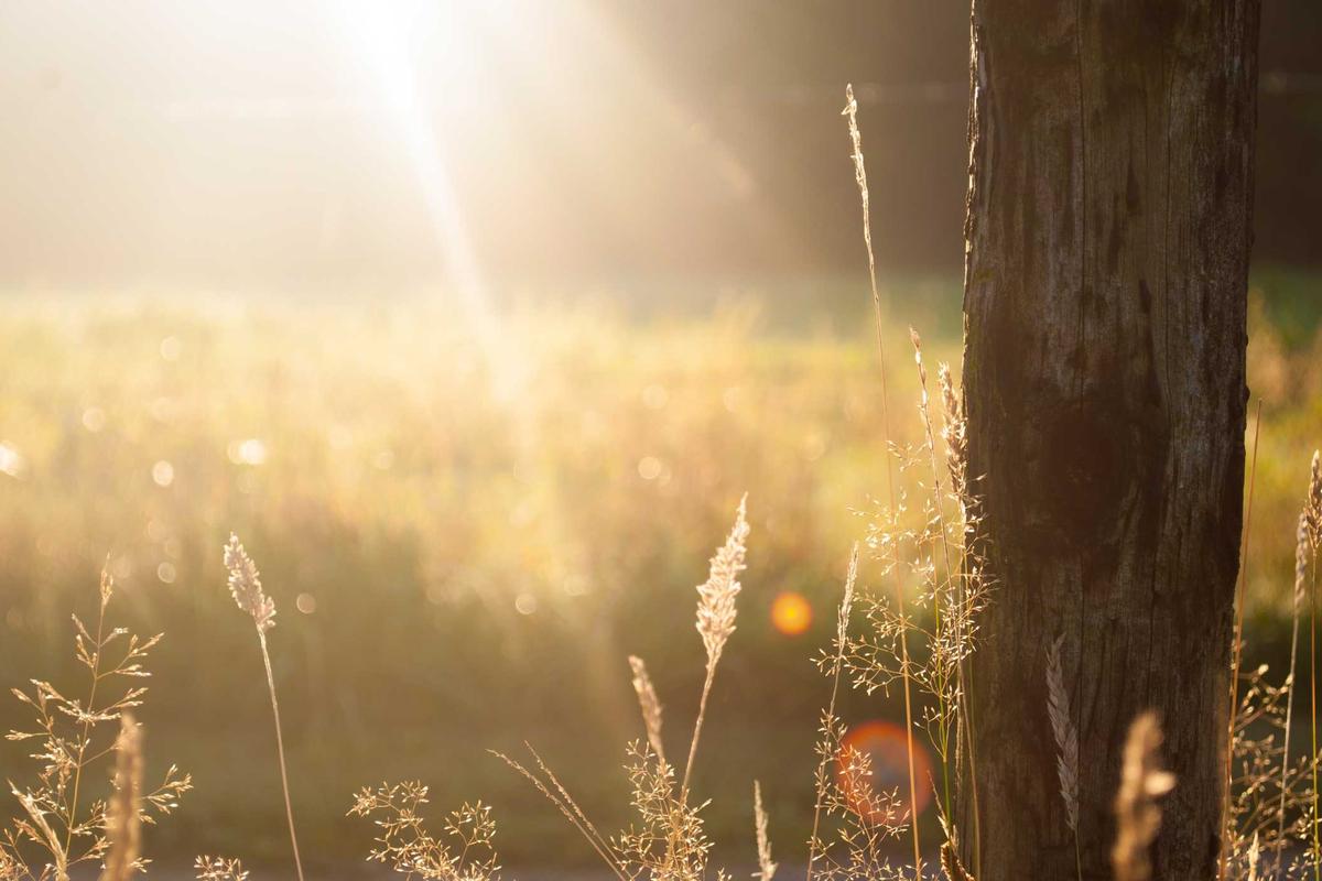 How to Get Subscription Reimbursement with Citi Banking - Featured image